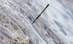 Guru Feederlinks 12 Guru Feederlinks -Matrix Winkel guru feederlinks 2