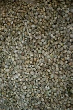 Hennep 10kg -Matrix Winkel hengelsportlauwe hennep 10kg 2